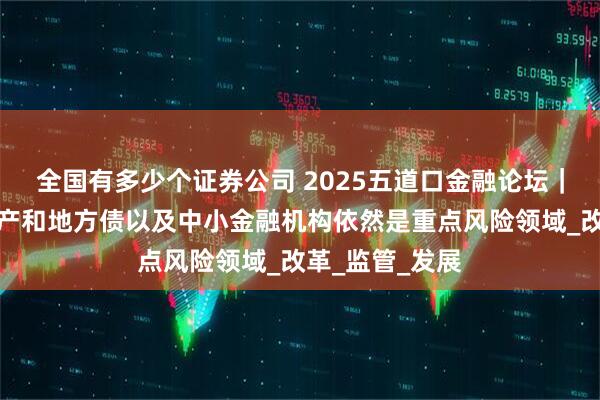 全国有多少个证券公司 2025五道口金融论坛｜丁志杰：房地产和地方债以及中小金融机构依然是重点风险领域_改革_监管_发展